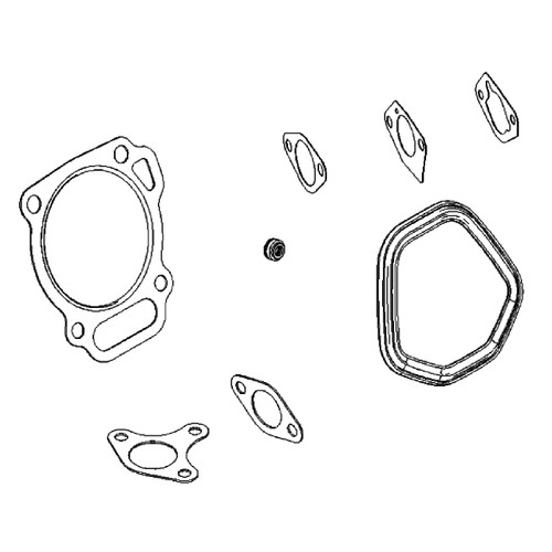 Briggs and Stratton OEM 799953 - GASKET SET-VALVE Briggs and Stratton Original Part - Image 1