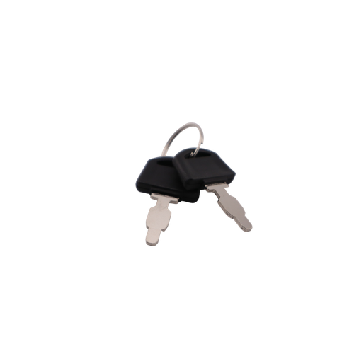 Briggs and Stratton OEM 704051 KEY SET Briggs and Stratton Original Part
