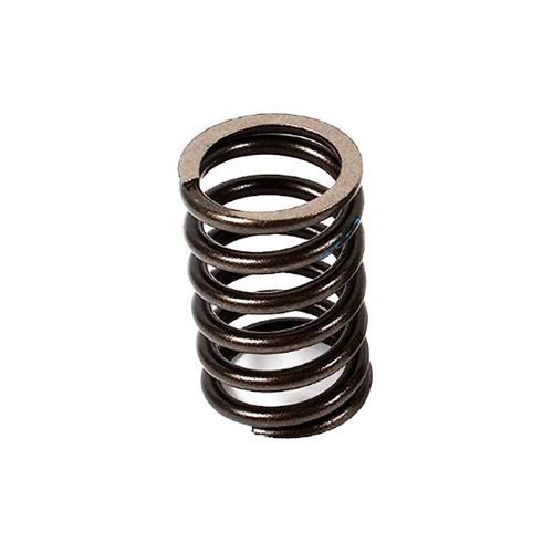 Kohler OEM 24 089 02-S - SPRING VALVE - Kohler Original Part - Image 1