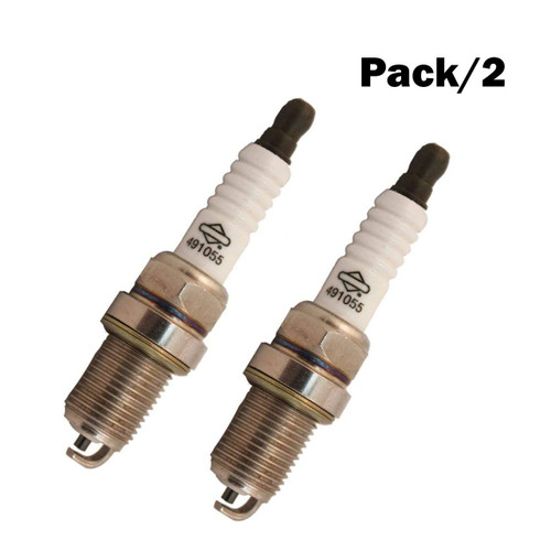 2-Pack 491055S Genuine Briggs and Stratton Spark Plug