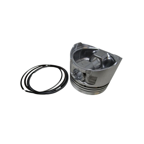 TORO 1079895 PISTON ASM Original OEM part