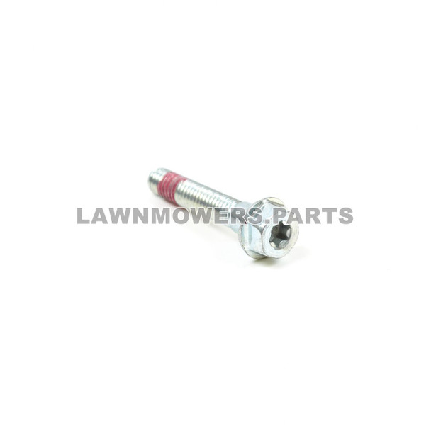 Briggs and Stratton OEM 699484 - SCREW Briggs and Stratton Original Part - Image 1