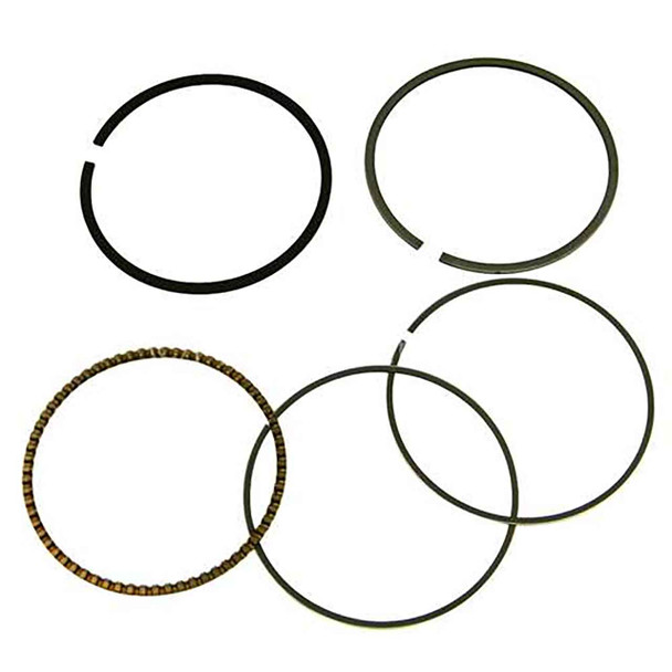 Briggs and Stratton OEM 843957 - RING SET-020 - Briggs and Stratton Original Part Briggs and Stratton OEM 843957 - RING SET-020 - Briggs and Stratton Original Part