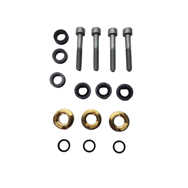 Briggs and Stratton OEM 200280GS - KIT-SEAL - Briggs and Stratton Original Part