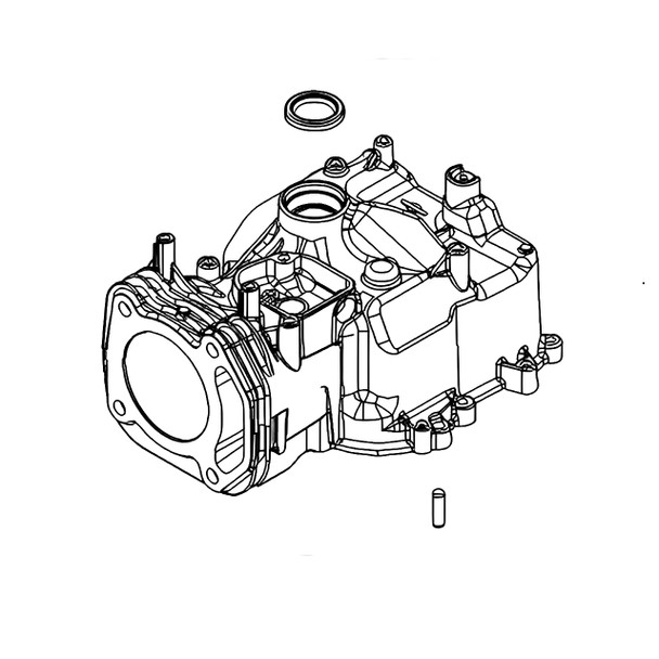 Briggs and Stratton OEM 592048 - CYLINDER ASSEMBLY Briggs and Stratton Original Part - Image 1
