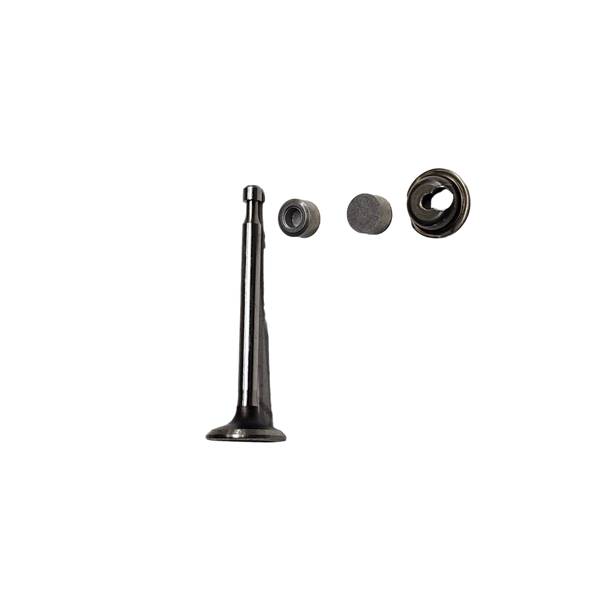 Briggs and Stratton OEM 594095 VALVEEXHAUST Briggs and Stratton Original Part - NO LONGER AVAILABLE