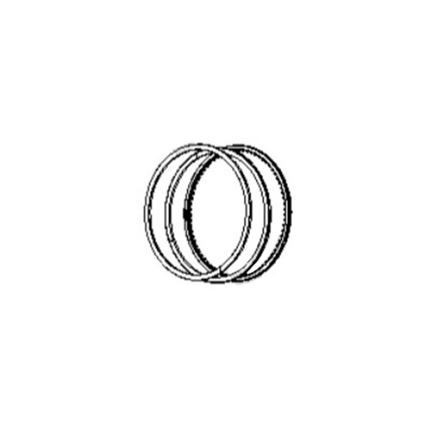 Briggs and Stratton OEM 595712 - RING SET - Briggs and Stratton Original Part Briggs and Stratton OEM 595712 - RING SET - Briggs and Stratton Original Part