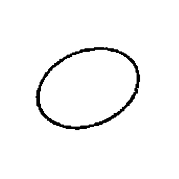 Husqvarna OEM 516135401 - O-Ring - Husqvarna Original Part - Image 1