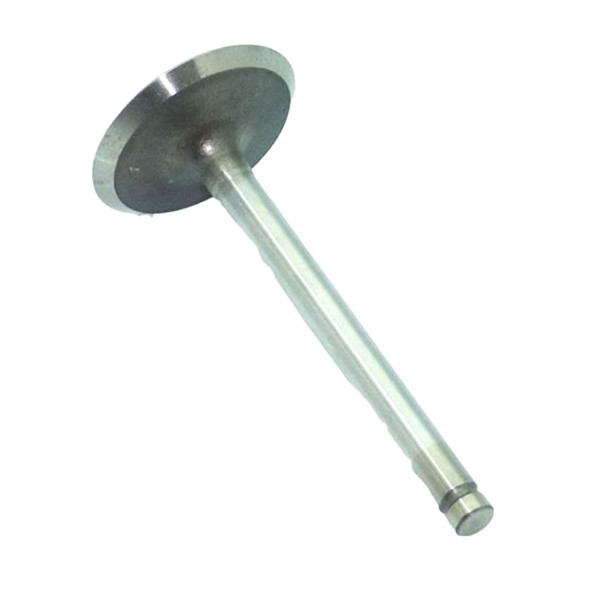 Kohler OEM ED0096520990-S - INTAKE VALVE - Kohler Original Part