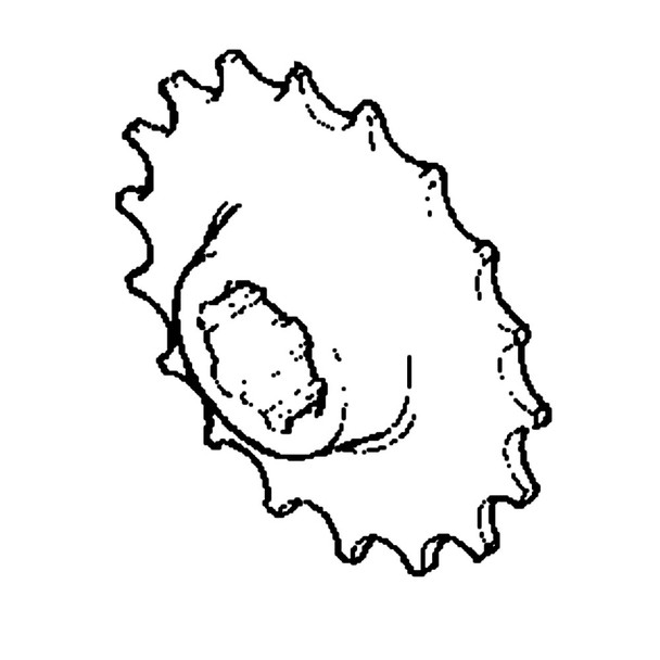 Honda OEM 23372-723-672 - SPROCKET DRIVEN -  Honda Original Part