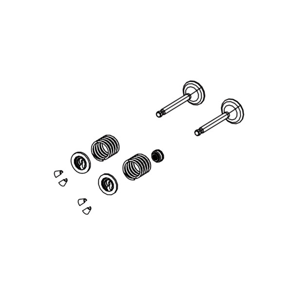 HUSQVARNA Valve Kit 599348984 Image 1