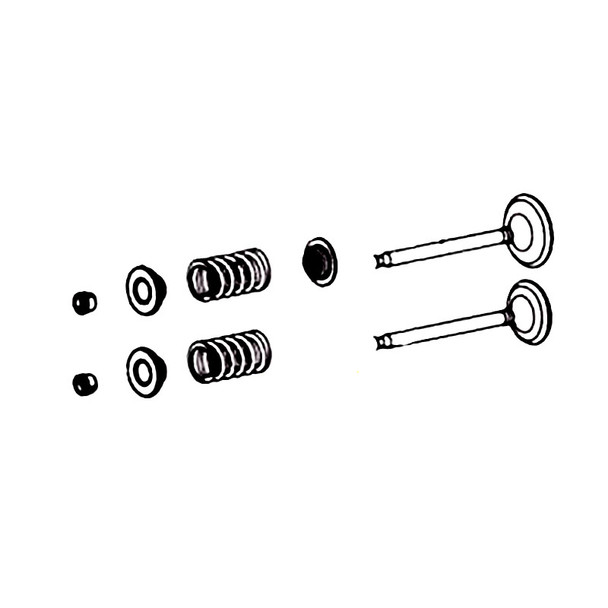 Husqvarna OEM 538659601 - Valve Kit Valve & Spring Kit L - Husqvarna Original Part