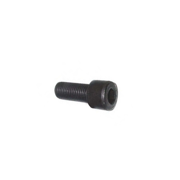 Echo OEM  V804000080 - BOLT TORX 4X10 - Echo Original Part - Image 1