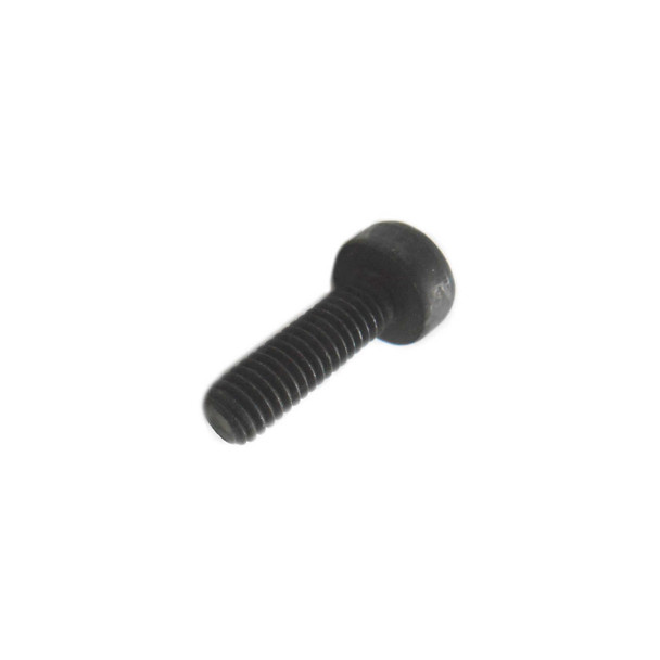 Echo OEM  V806000050 - BOLT TORX 6X20 - Echo Original Part - Image 1