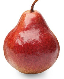 Red Bartlett Scionwood