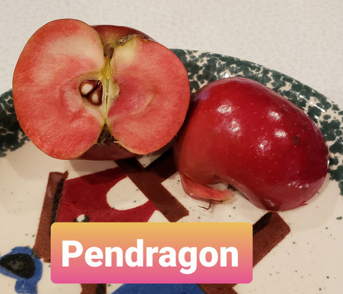 Pendragon Custom Benchgraft