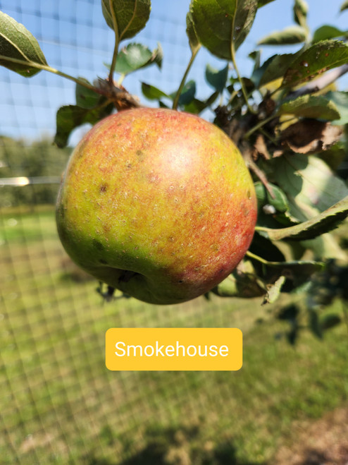 Smokehouse Scionwood