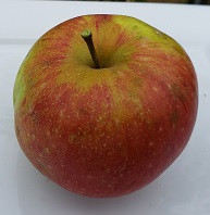 Wismer's Dessert Scionwood