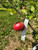 Fall Wine Custom Benchgraft