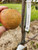 Mannington Pearmain Custom Benchgraft