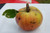 Champlain Apple Tree