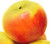 White Winter Pearmain Apple Tree