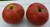 Washington Strawberry Custom Benchgraft