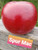 Spur Mac Apple Tree