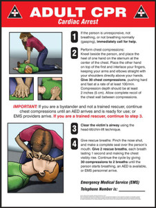 Illustration of the Adult CPR Wall Poster in English.