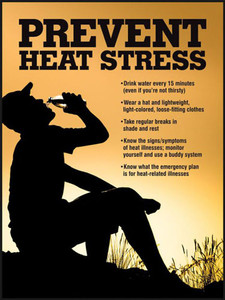 Picture of heat stress safety poster.