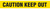 A drawing of the unrolled tape showing words CAUTION KEEP OUT in black on yellow.