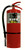 A photo of an Ansul Sentry 20 lb dry chemical extinguisher.