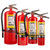 A group photograph of (left to right) Badger Extra 20, 10, 5, and 2.5 pound multipurpose dry chemical fire extinguishers.