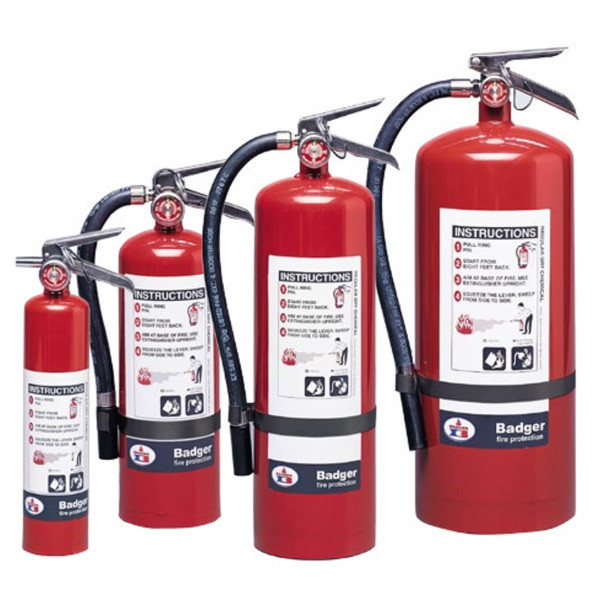 Badger Extra Regular Dry Chemical Handheld Fire Extinguishers