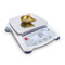 Photograph of an Ohaus SJX Balance weighing diamonds.