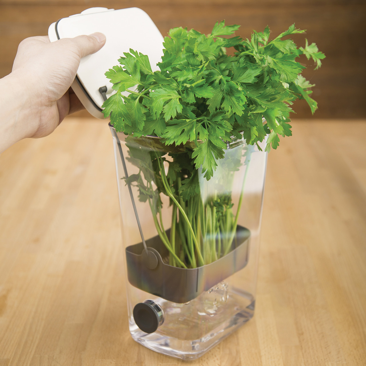 Herb ProKeeper - Thumbnail 4