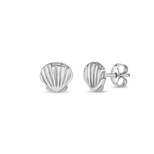 Shell Stud Earrings
