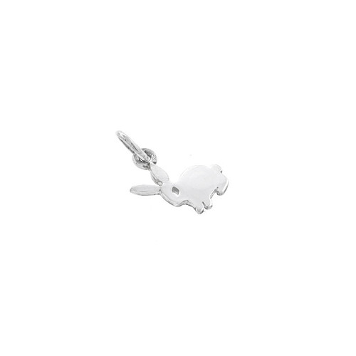 Bunny Charm