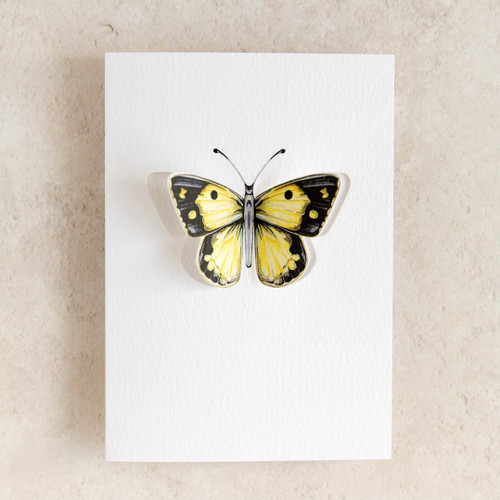 Clouded Yellow Butterfly 3D Greeting Card