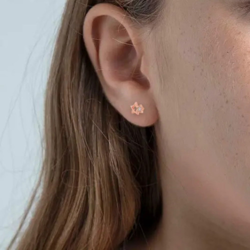 Double Star Stud Earrings