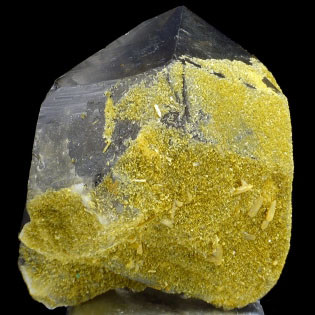 Large Smoky Quartz with Yellow Stilbite Specimen