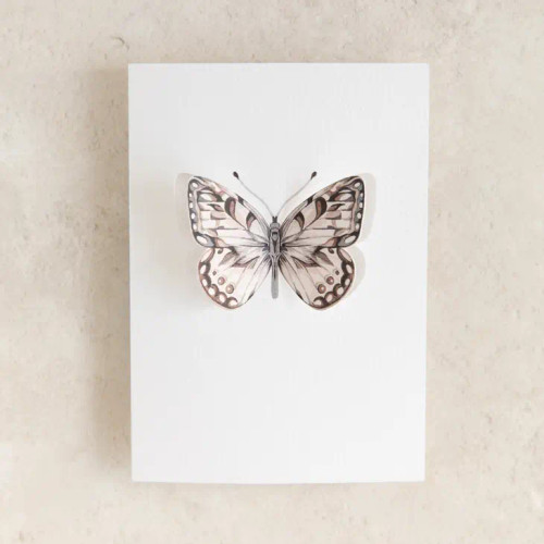 Marbled White Butterfly 3D Greetings Card