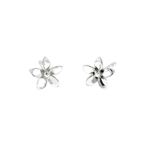 Plumeria Flower Studs