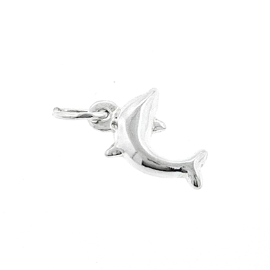 Dolphin Charm