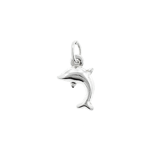 Dolphin Charm