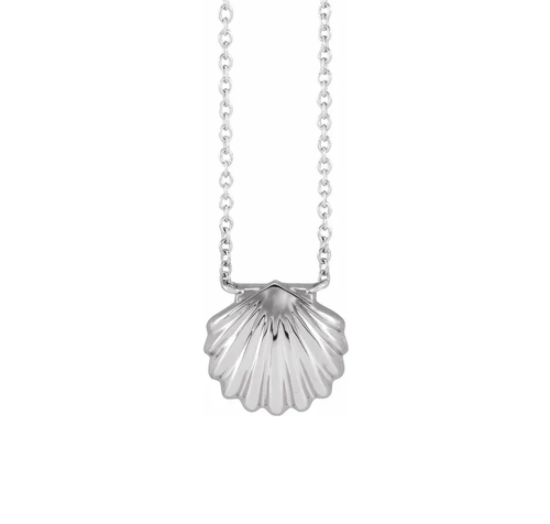 Silver Shell Necklace
