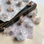 Clear Quartz Crystal Cluster in Collector Box