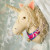 Celeste Hand-Felted Unicorn Head Wall Decor