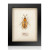 Framed Hand Embroidered Beaded Art - Spotty Beetle
