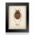 Framed Hand Embroidered Beaded Art - Brown Beetle